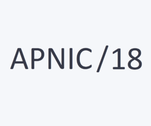 buy apnic /18